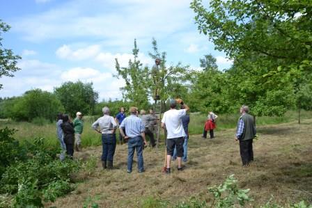 20150613-obstbaumschnittkurs-naturschutzstiftung-grafschaft-bentheim