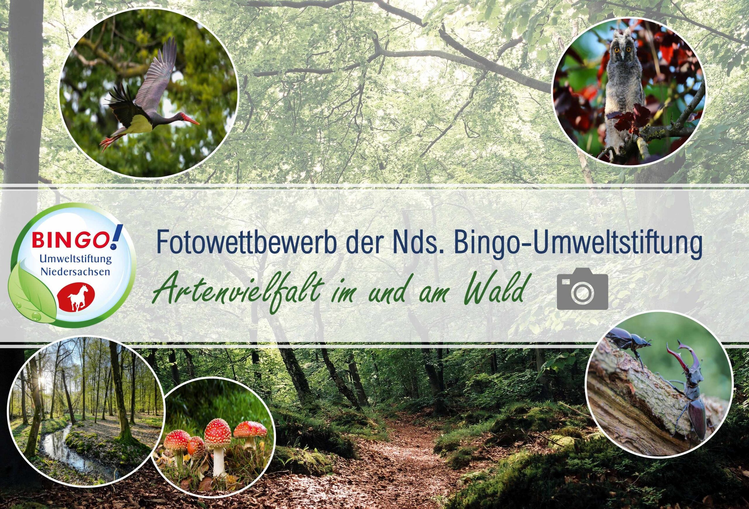 Fotocollage für die Ausschreibung 2026_web